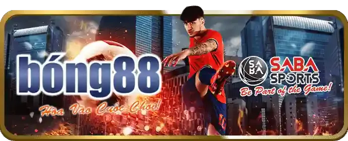 Cập Nhật Về Nền Tảng & An Toàn